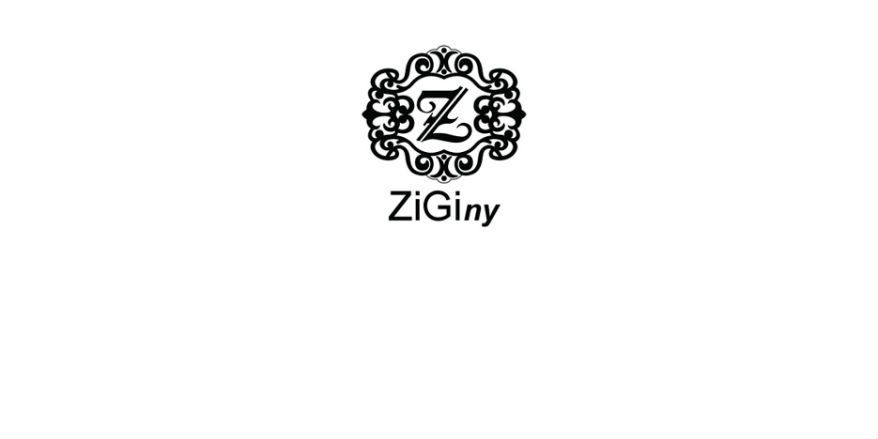 ZIGIny